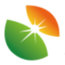 Bluesun Logo
