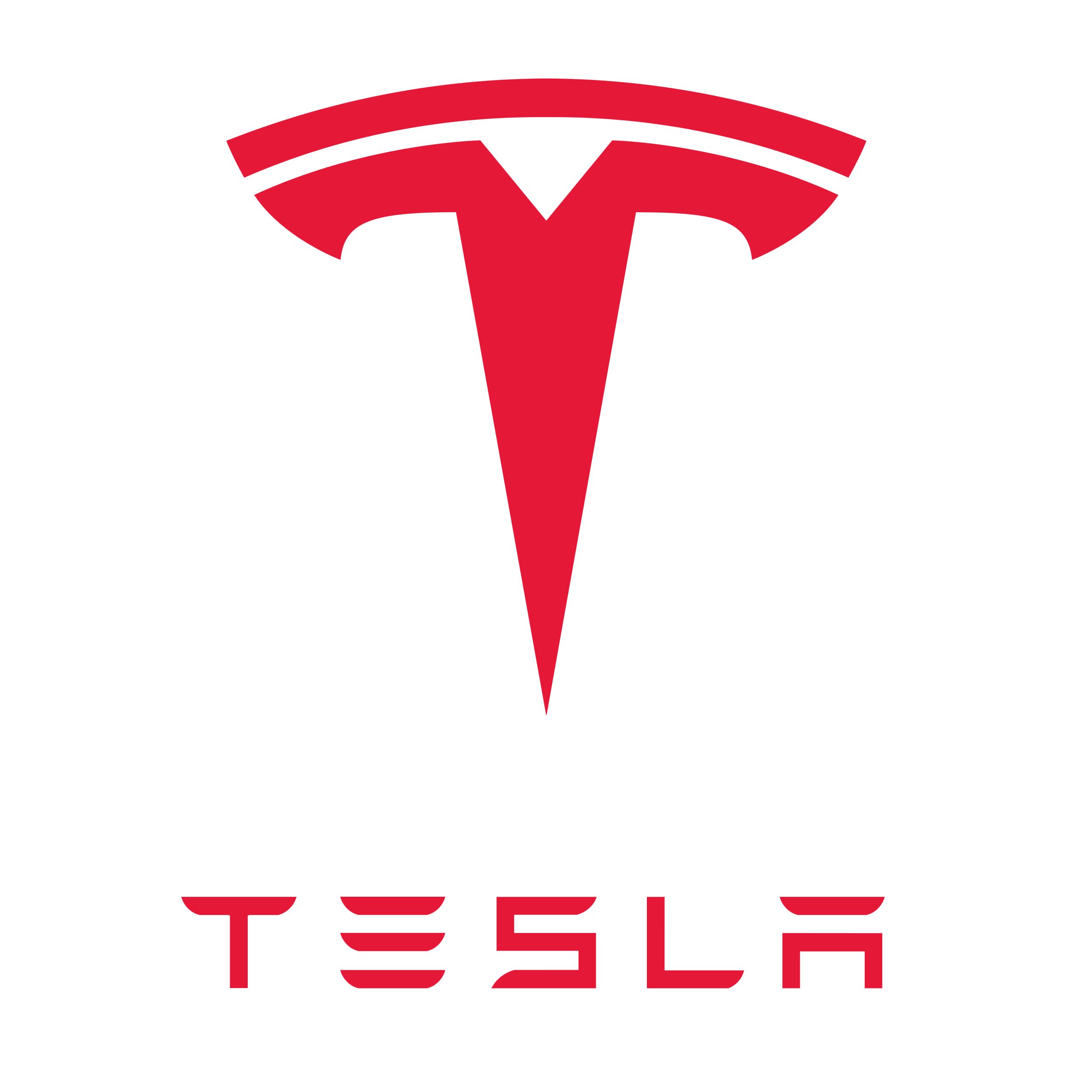 Лого на Tesla